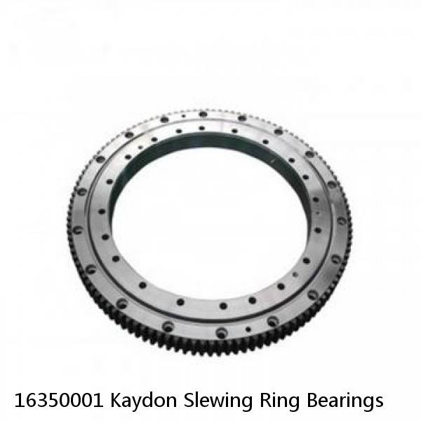 16350001 Kaydon Slewing Ring Bearings