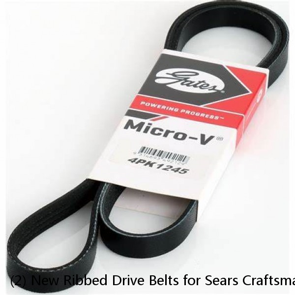 (2) New Ribbed Drive Belts for Sears Craftsman 12