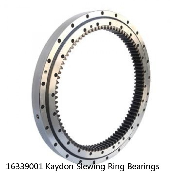 16339001 Kaydon Slewing Ring Bearings #1 small image