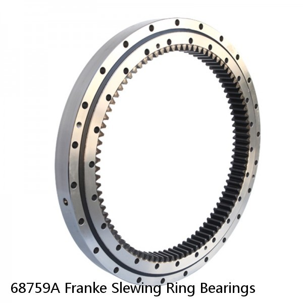 68759A Franke Slewing Ring Bearings #1 small image