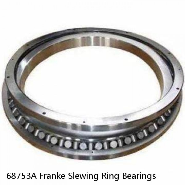 68753A Franke Slewing Ring Bearings #1 small image
