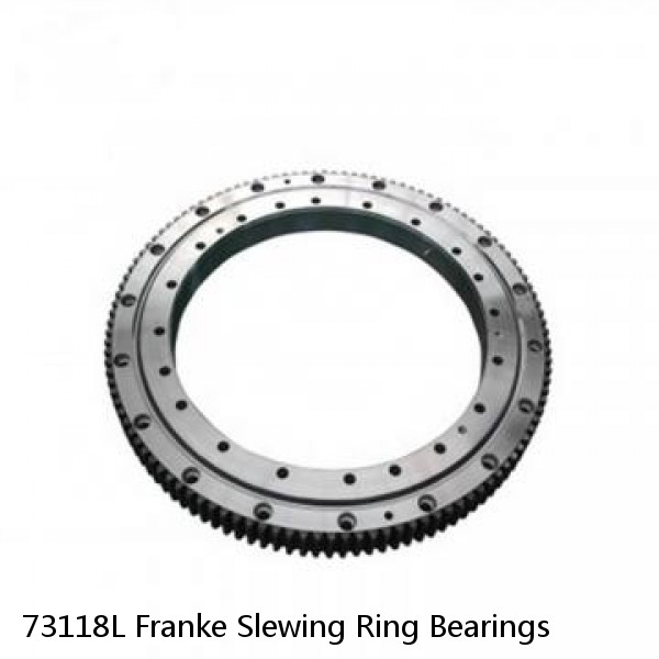 73118L Franke Slewing Ring Bearings #1 small image