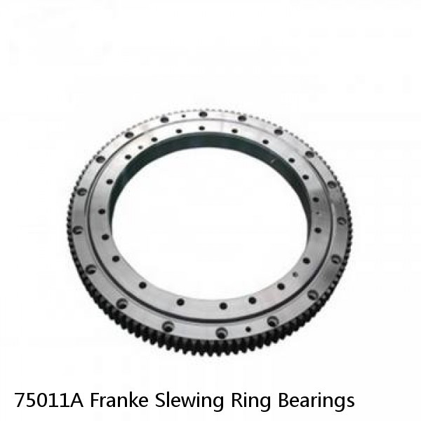 75011A Franke Slewing Ring Bearings