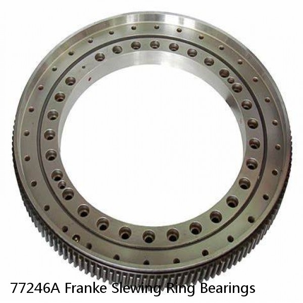 77246A Franke Slewing Ring Bearings