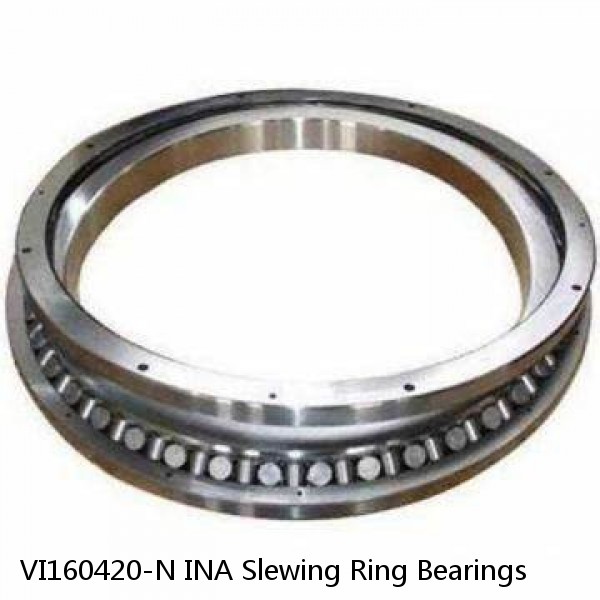 VI160420-N INA Slewing Ring Bearings #1 small image