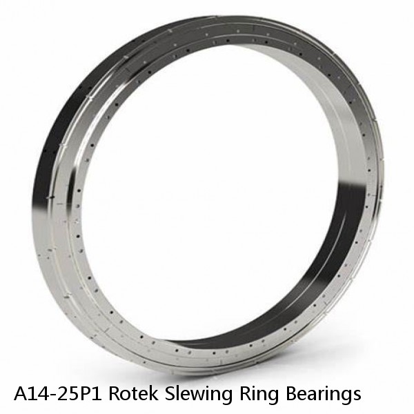A14-25P1 Rotek Slewing Ring Bearings #1 small image