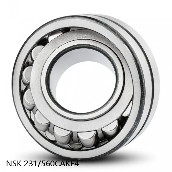 231/560CAKE4 NSK Spherical Roller Bearing #1 small image