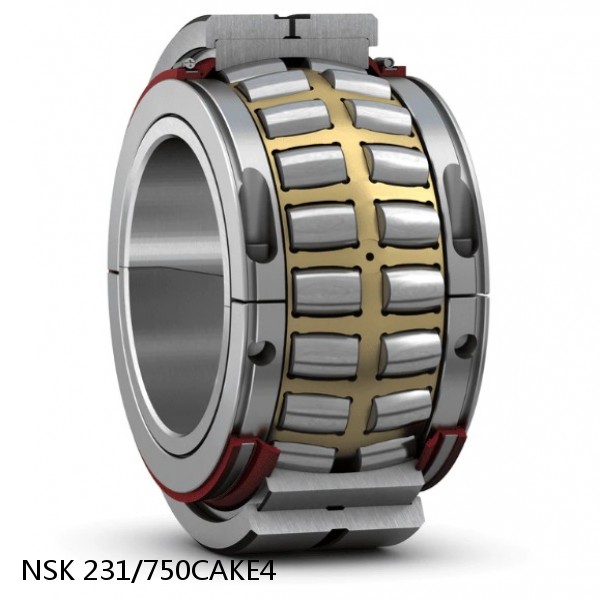 231/750CAKE4 NSK Spherical Roller Bearing #1 small image