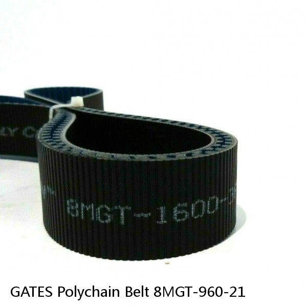 GATES Polychain Belt 8MGT-960-21 #1 small image