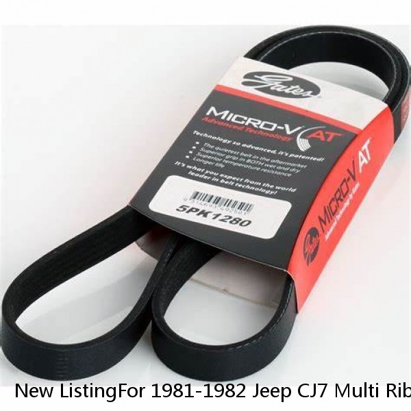 New ListingFor 1981-1982 Jeep CJ7 Multi Rib Belt Main Drive Dayco 33651JT 4.2L 6 Cyl #1 small image