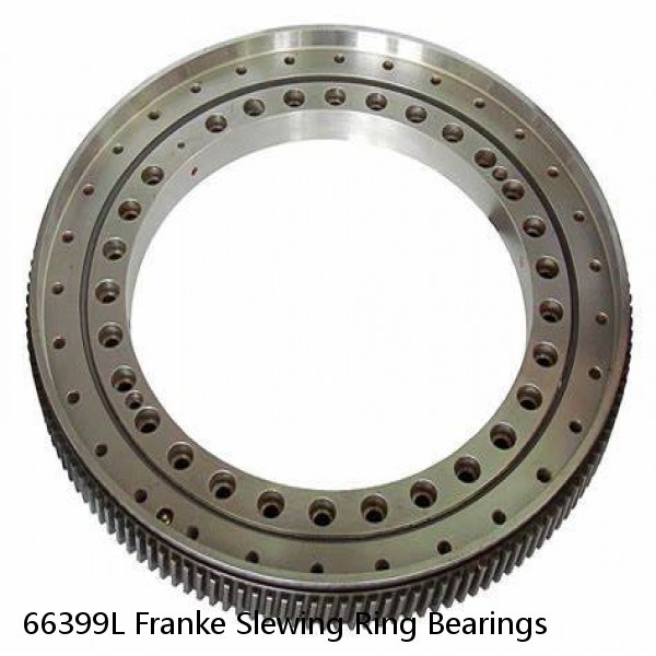 66399L Franke Slewing Ring Bearings #1 image