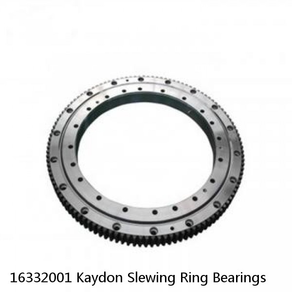 16332001 Kaydon Slewing Ring Bearings #1 image
